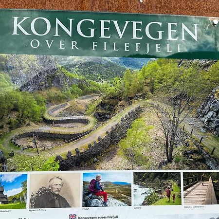 Mjosvang Kafe Vang I Valdres 외부 사진